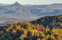 8, Old Coach Road, Termeil, NSW 2539