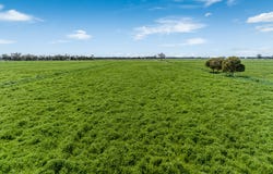 1070 & 1072 White Road, Girgarre, Vic 3624