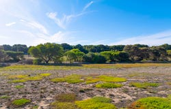 Lot 4049, Maranoa Place, Hindmarsh Island, SA 5214