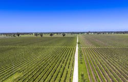 963 Rowney Road, Mundulla, SA 5270