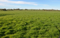 615 Henry Creek Road, Kingston Se, SA 5275
