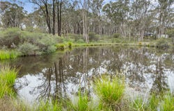 71 Wellsford Road, Junortoun, Vic 3551