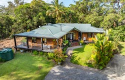 356 Buchanan Creek Road, Cow Bay, Daintree, Qld 4873
