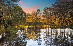 40 Hensons Road, Somersby, NSW 2250