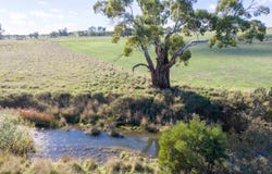 1775 Heathcote-Kyneton Road, Barfold, Vic 3444