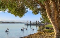48 Lakeview Parade, Pelican, NSW 2281