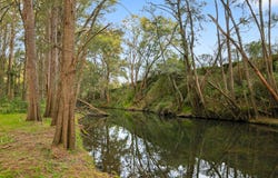 442 Riverlea Road, Mudgee, NSW 2850
