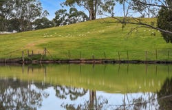 152 Karwin Road, Humbug Scrub, SA 5114