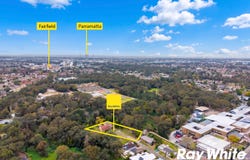 6 Prospect Crescent, Canley Vale, NSW 2166