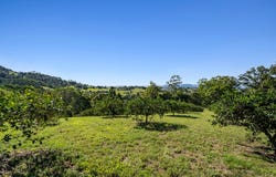 61 Hansen Road, Dagun, Qld 4570