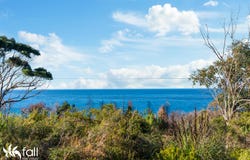 116 Blowhole Road, Eaglehawk Neck, Tas 7179