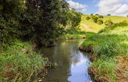 37 Simpsons Road, Cootharaba, Qld 4565