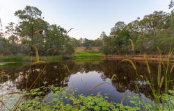 104 Ironbark Road, Ironbark, Qld 4306