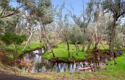 1220 Harper Road, Wooroloo, WA 6558