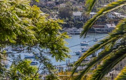 26 La Boheme Avenue, Caringbah South, NSW 2229