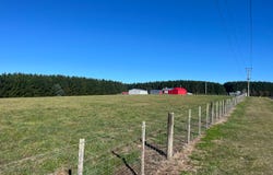 173 Oldina Road, Wynyard, Tas 7325