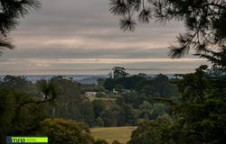 Kallista, Vic 3791