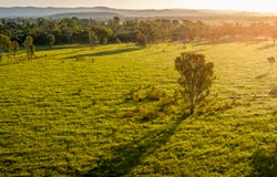 170 Redbank Road, Morinish, Qld 4702