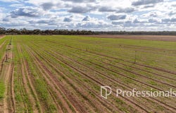 Cnr Norman Road, Merbein West, Vic 3505