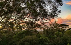 1-3 Orr Street, Port Macquarie, NSW 2444