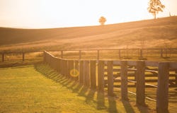 Lot 813, Chanticleer Avenue, Branxton, NSW 2335