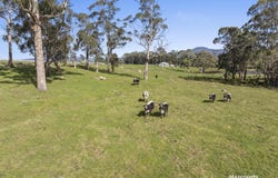 146 Mountain River Road, Grove, Tas 7109