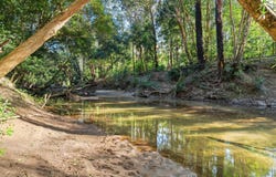 D2880B Princes Highway, Wandandian, NSW 2540