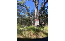 Lot 1 Marloo Avenue, Fraser Island, Qld 4581