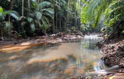2583  Isabella McIvor Road, Cooktown, Qld 4895