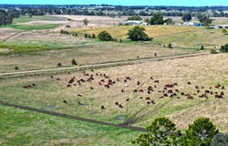 25 Edenville Rd, Stratheden, NSW 2470