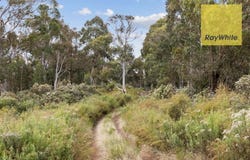 1013 Bigga Road, Crooked Corner, NSW 2583