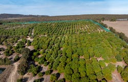 1804 Bull Creek Road, Ashbourne, SA 5157