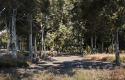 Lot 156, Proposed Road, Glossodia, NSW 2756