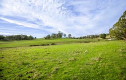 71 English Street, Hahndorf, SA 5245