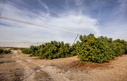 1804 Bull Creek Road, Ashbourne, SA 5157