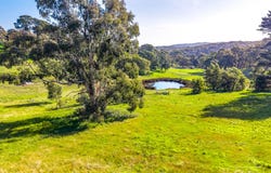 363 Carey Gully Road, Mount George, SA 5155