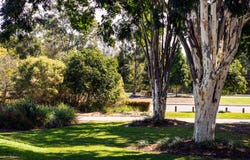 Lot 98 TBA, Rochedale, Qld 4123