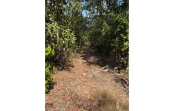 385 Gulnare Road, Bees Creek, NT 0822