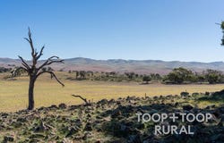 Oaklands Road, Dutton, SA 5356