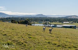 33 Remi Place, Sandford, Tas 7020