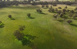 Lot 1 Bangham Road, Bangham, SA 5268