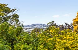 14 Hubbard Street, Wavell Heights, Qld 4012
