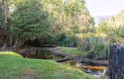 619 Marysville Road, Narbethong, Vic 3778