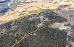 Mount Rankin, NSW 2795
