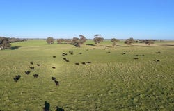 Lots 50 & 51 Old Kalangadoo Road, Penola, SA 5277