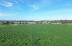 'Willowbank' Urana Road, Jindera, NSW 2642