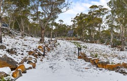 7 Little Dog Court, Miena, Tas 7030