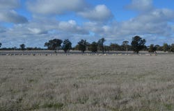 260 Burns Munn Road, Edenhope, Vic 3318