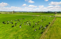 818  Henderson Road, Tongala, Vic 3621