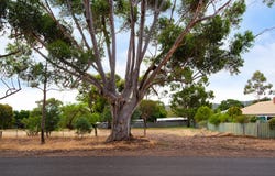 CA 3 Parker Street, Maldon, Vic 3463
